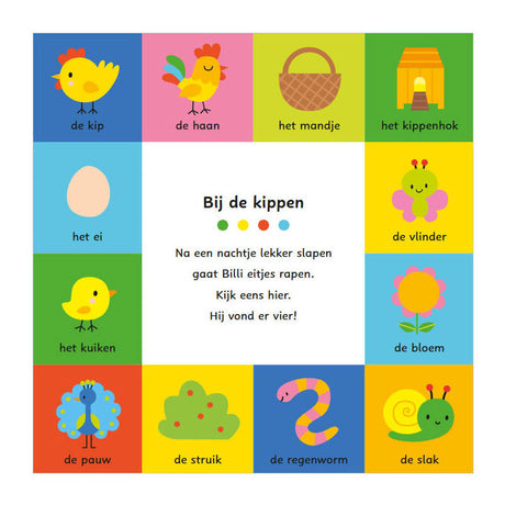 Deltas mijn allereerste woordenboek - spelen en leren met billi kartonboekje