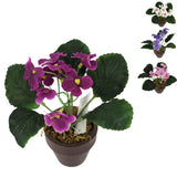 No brand kunstplant in pot kaaps viooltje 16 cm 4 assorti | 12 stuks