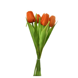 Tulp boeket 7 tulpen 35 cm assorti | 4 stuks
