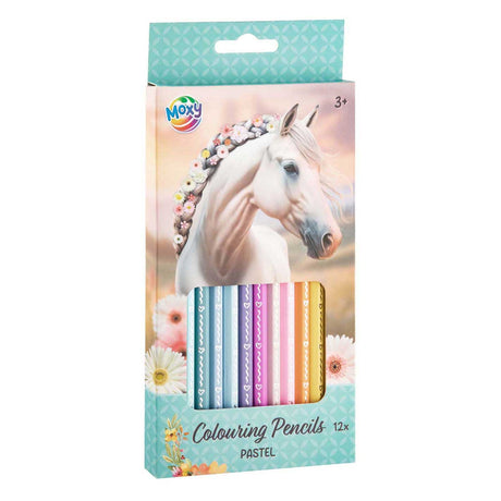 Creative craft group kleurpotloden pastel - 12st.