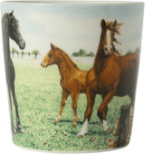 Wiebe van der zee wiebe's farm minimok paard 23cl 6st