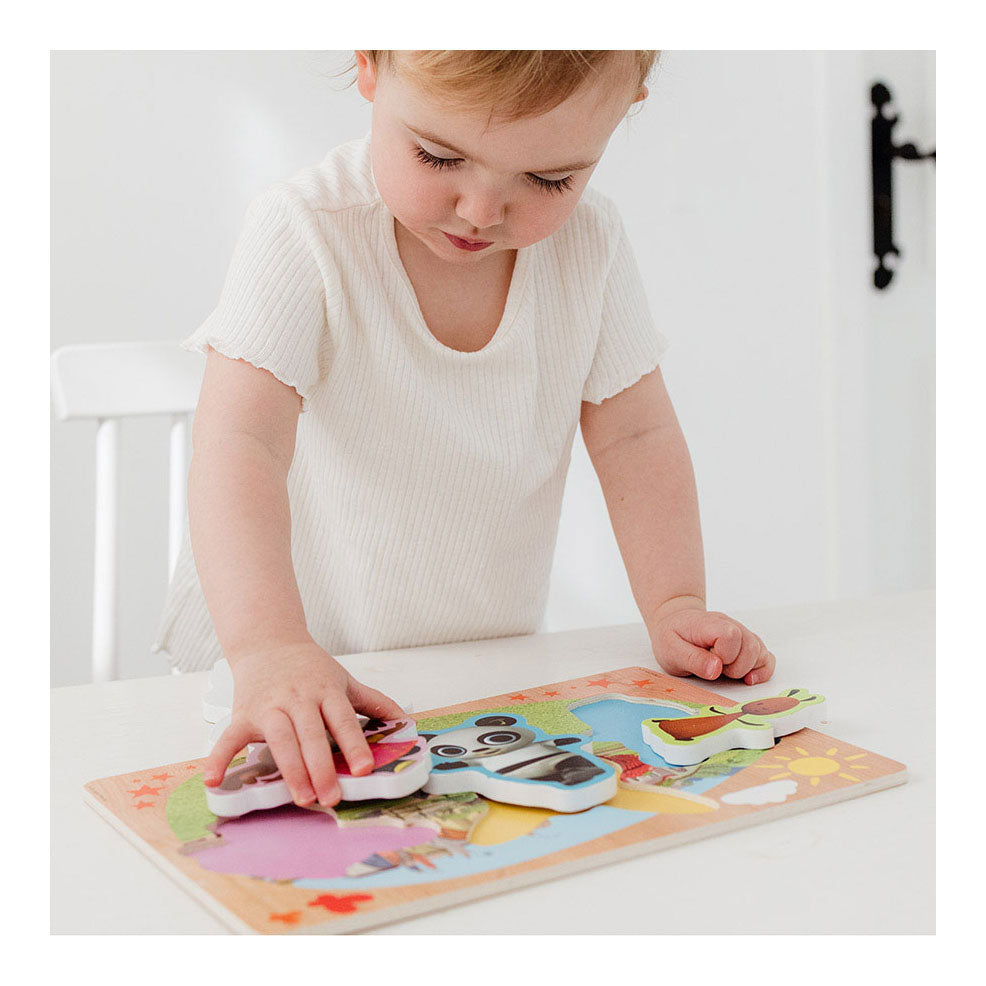 Bambolino Toys Houten Vormenpuzzel, 5st.