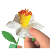 Clementoni idea - geurende bloemen maken - narcis - vanaf 8 jaar - 2 stuks