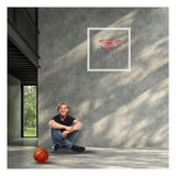 Dunlop basketbalring met net