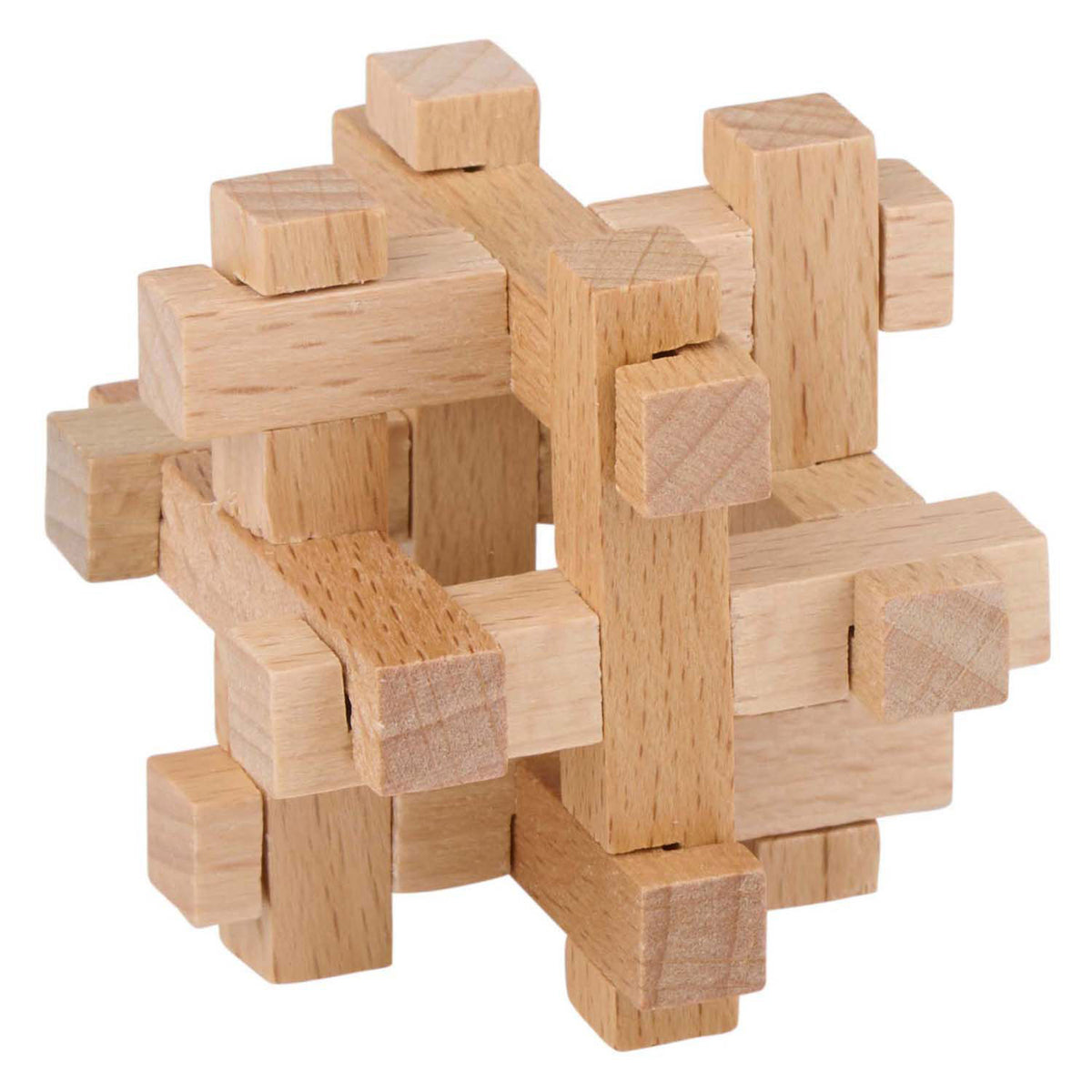 Houten breinpuzzel