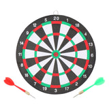 Dartbord Maikel Verberk Dartboard met Pijltjes