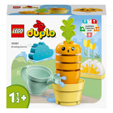 Lego Duplo LEGO DUPLO 10981 Groeiende Wortel