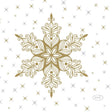 Duni servetten snowstars white 24x24cm