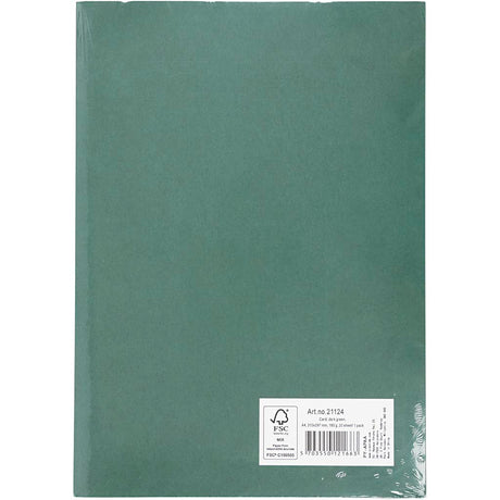 Creativ company https: www.cchobby.nl karton-a4-vel-210x297-mm-180-gr-donkergroen-20-vel-1-doos