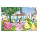 Ravensburger disney prinsessen, 2x24st.