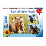 Ravensburger - Schattige Pony's 3x49st.