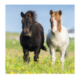 Ravensburger Schattige Pony's 3x49st.