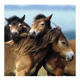 Ravensburger - Schattige Pony's 3x49st.