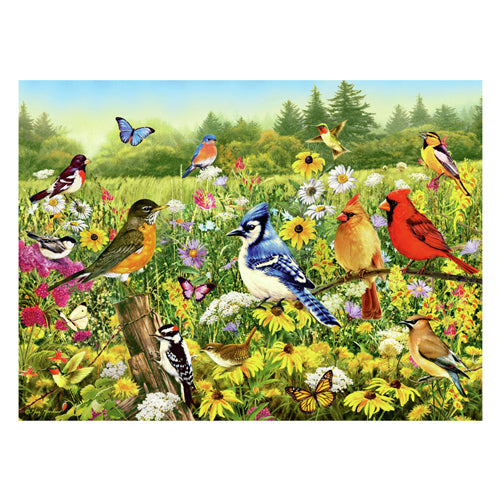 Ravensburger Legpuzzel Vogels in de Wei, 1000st.