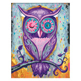 Ravensburger CreArt Schilderen op Nummer Dreaming Owl