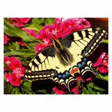 Ravensburger legpuzzel colorful animals vlinder, 500st.
