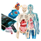 Clementoni wetenschap en spel - super anatomie