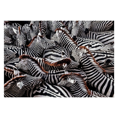 Clementoni Legpuzzel National Geographics Zebra, 1000st.