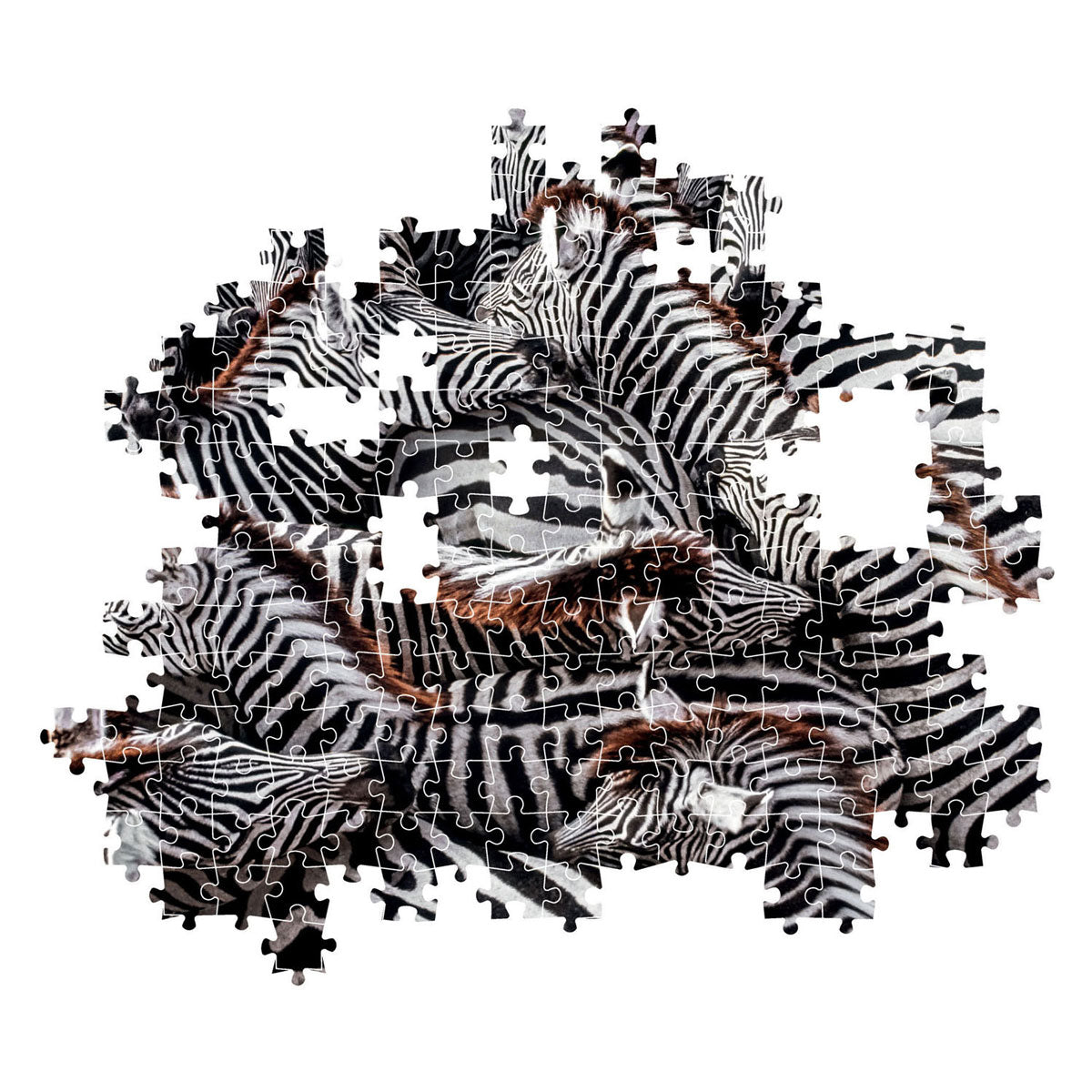 Clementoni Legpuzzel National Geographics - Zebra, 1000st.