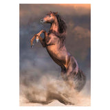Clementoni legpuzzel wild red stallion, 500st.