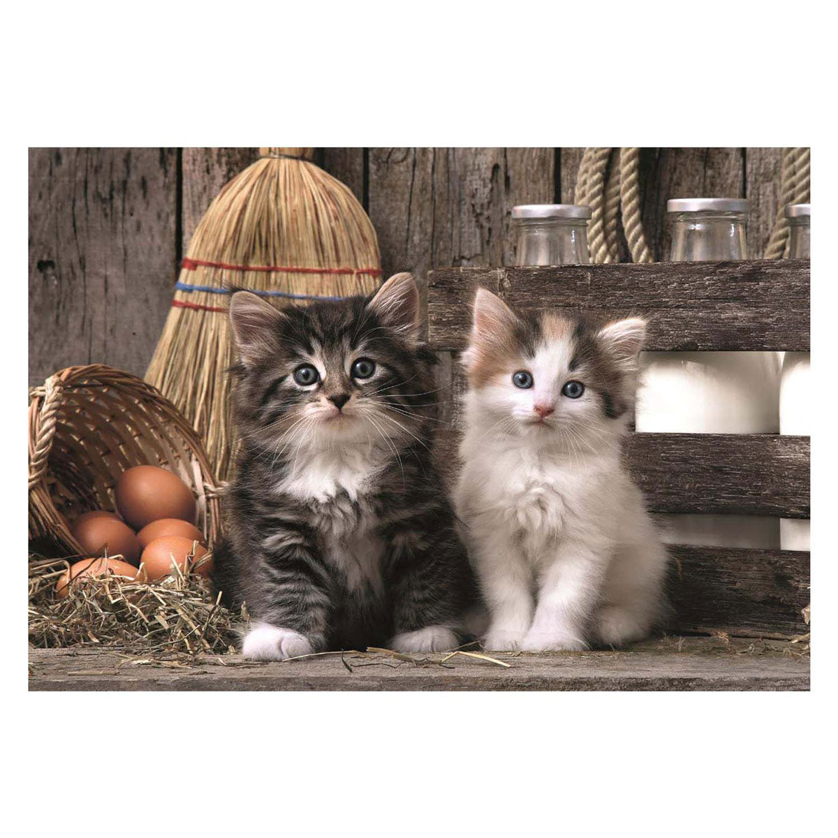 Clementoni puzzel 1000 stukjes lovely kittens