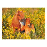 Ravensburger Shetlandpony's, 100st. XXL