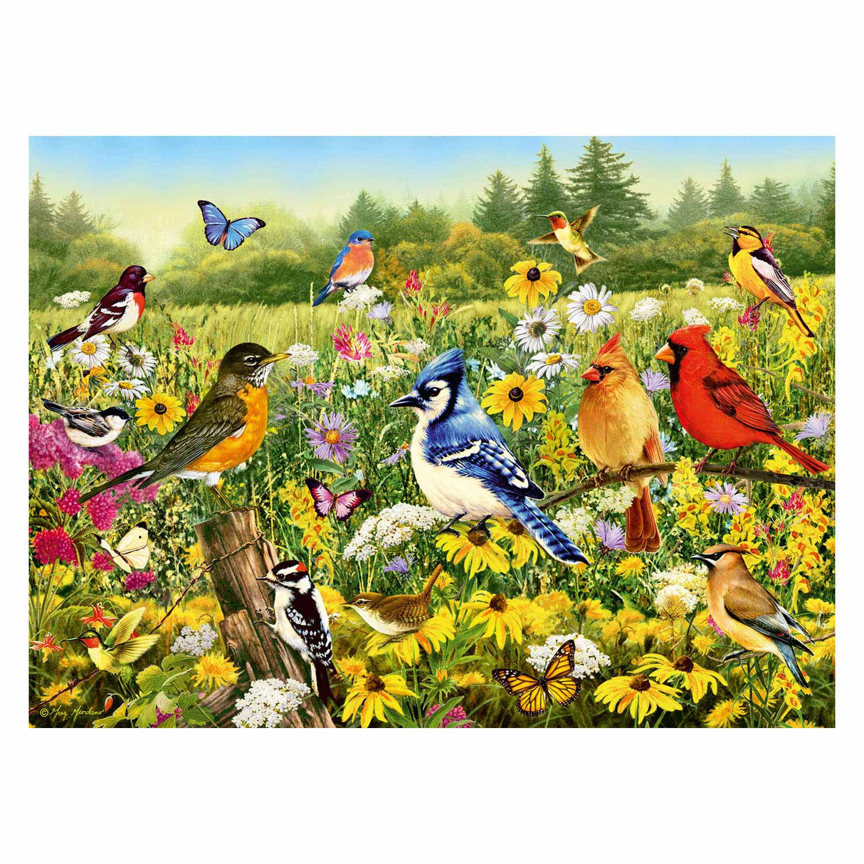 Ravensburger Vogels in de Wei Legpuzzel, 500st.