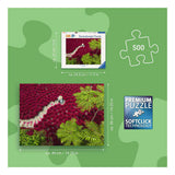 Ravensburger – een zee van rood – legpuzzel – 500 stukjes