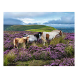 Ravensburger legpuzzel wild horses in the heather - 2000st.