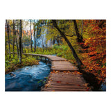 Ravensburger puzzel autumnal wood trail