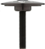 Wolf tooth components ultralight top cap