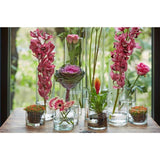 B-living cilindervaas glas ø12xh20cm