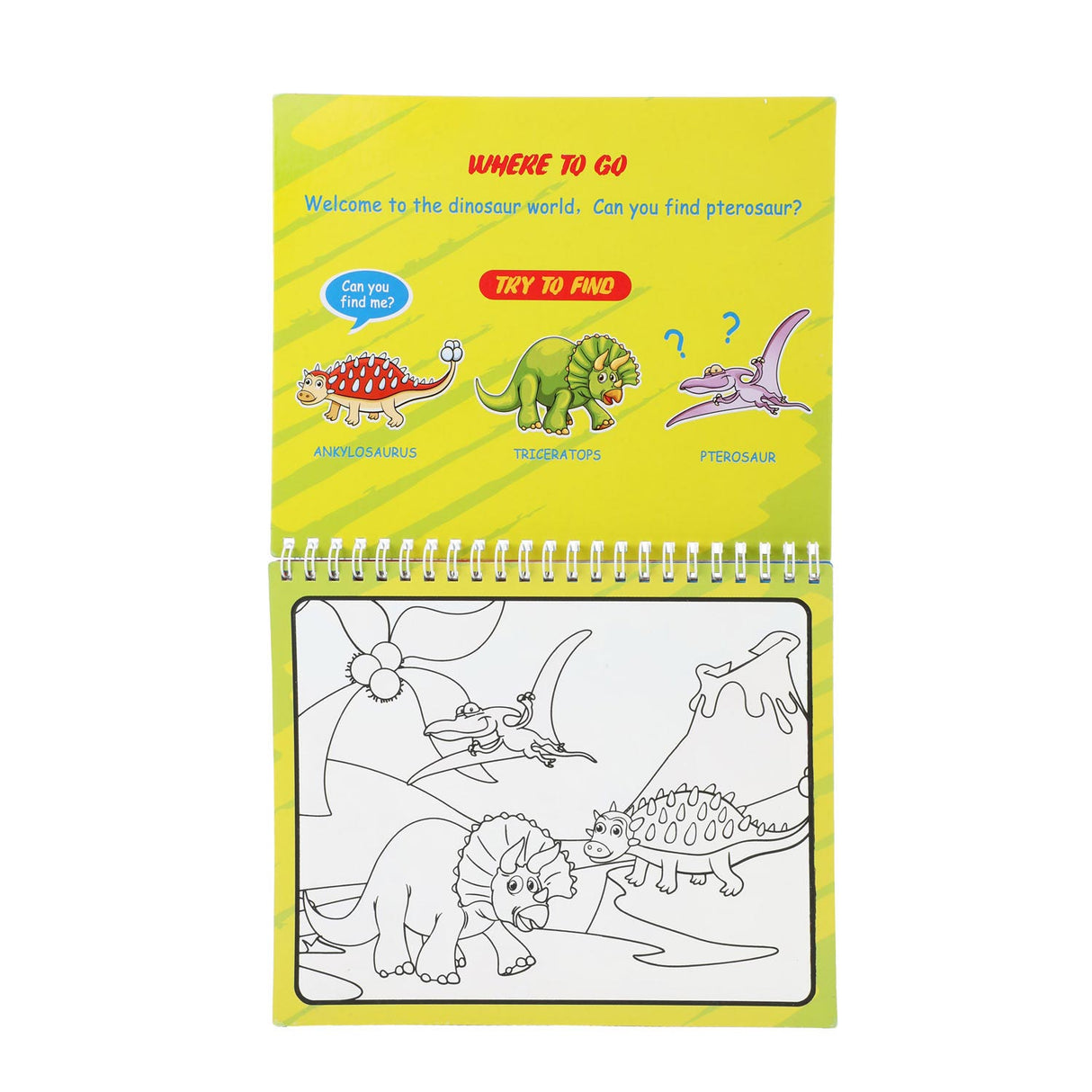 Toi-Toys Creativity Kleuren met Water met Stift