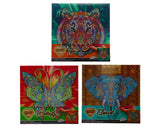 Grafix diamond painting op canvas | tijger | formaat 30x30cm | diamond painting pakket volledig | thema dieren | diamond painting op canvas | inclusief diamond painting pen en schudbakje | eindresultaat ophangen aan de muur
