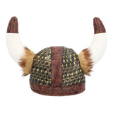 Boland hoed viking harald