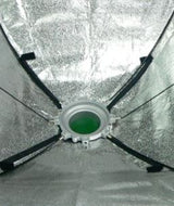 Falcon eyes softbox 75x150 cm + honingraat sbq-75150hc
