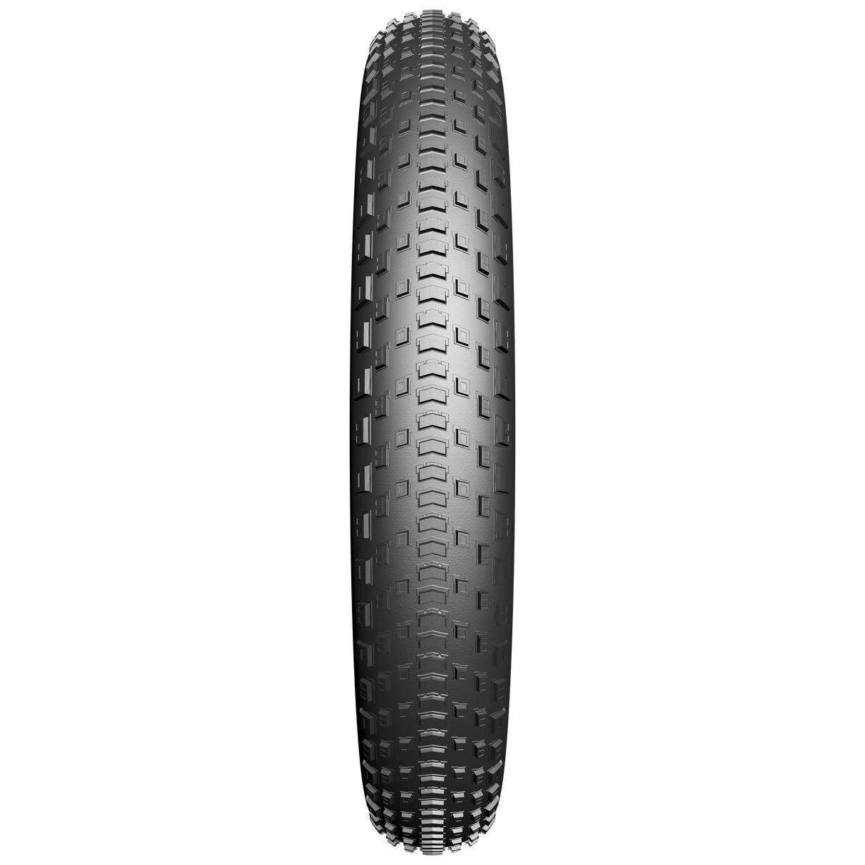 Edge buitenband fatbike fat bst protect 20 x 4.00 100-406mm zwart