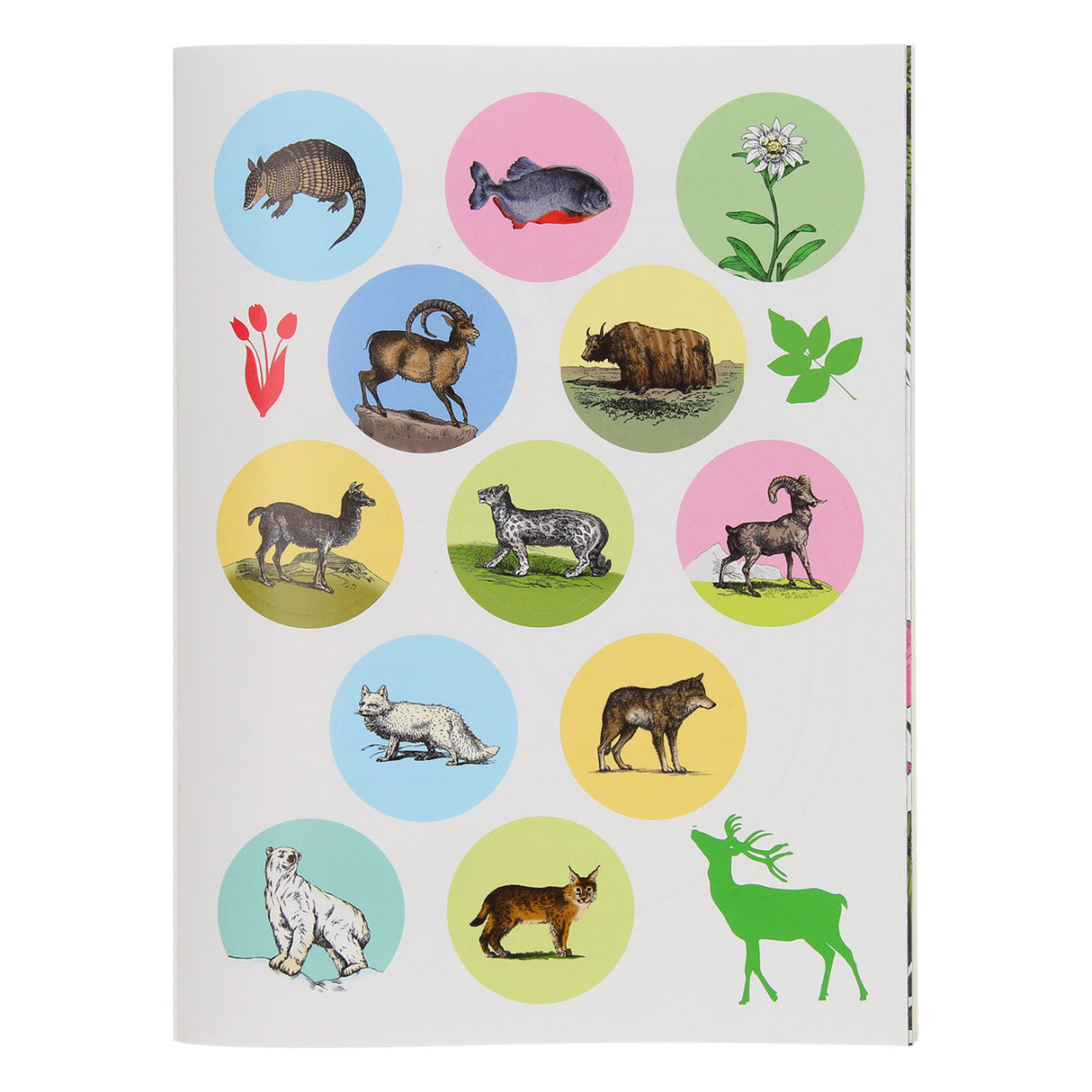 Standaard Uitgeverij 50 Weetjes 50 Stickers Natuur