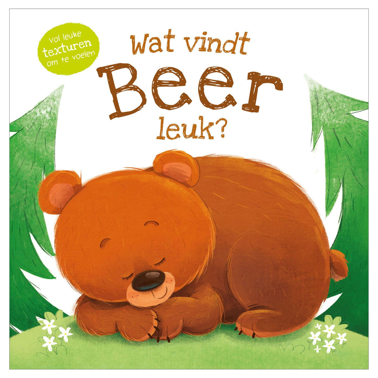 Rebo Publishers Voelboek Wat vindt Beer leuk?