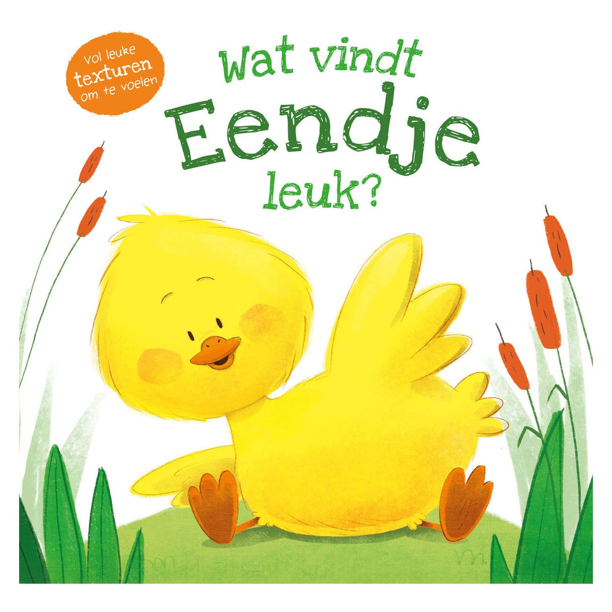 Rebo Publishers Voelboek Wat vindt Eendje leuk?