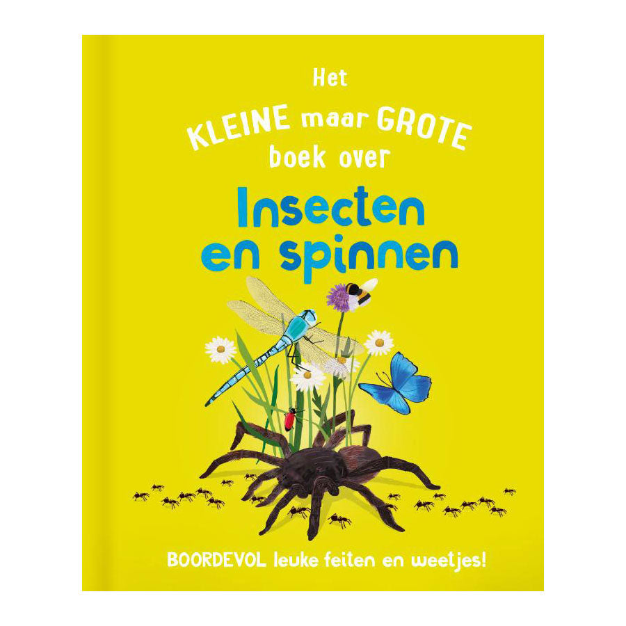 Rebo publishers het kleine maar grote boek over? insecten spinnen