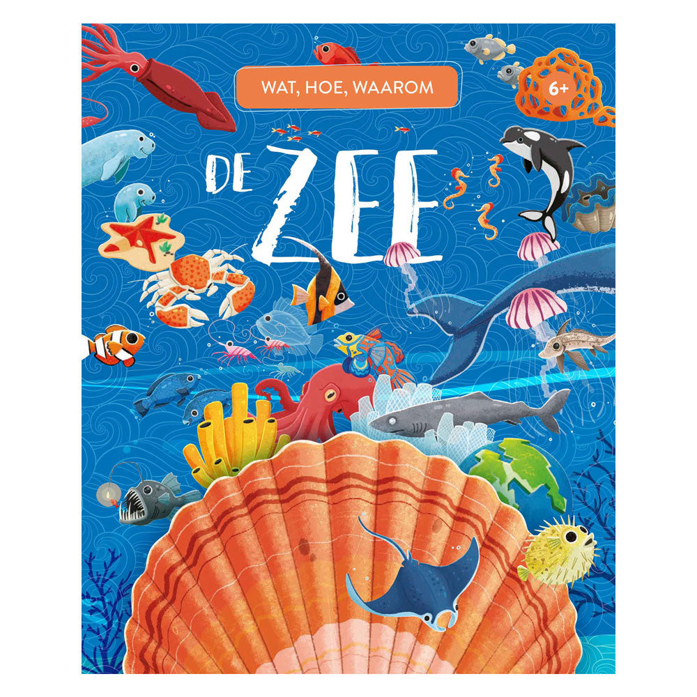 Rebo Publishers De Zee Wat, Hoe en Waarom