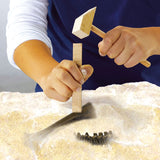 Ses creative ses t-rex opgraven