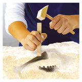 Ses explore dino en skelet opgraven 2in1 - triceratops