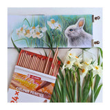 Talens art creation kleurpotloden set 24