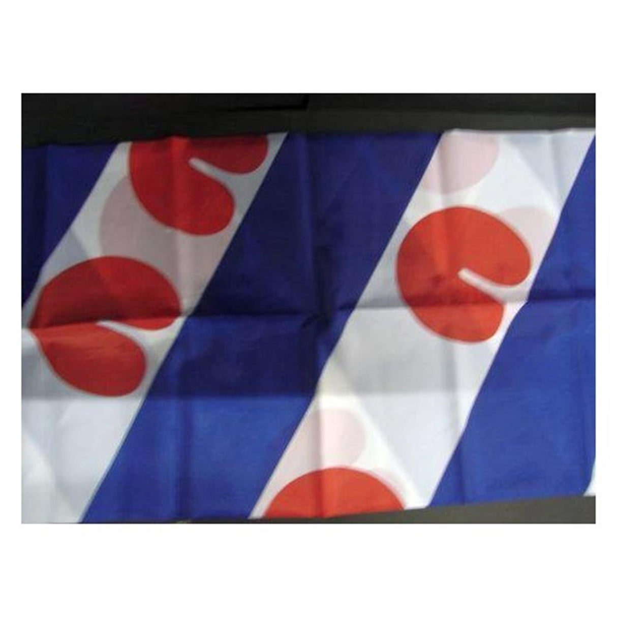 Dokkumer vlaggen centrale vlag friesland 40x60cm