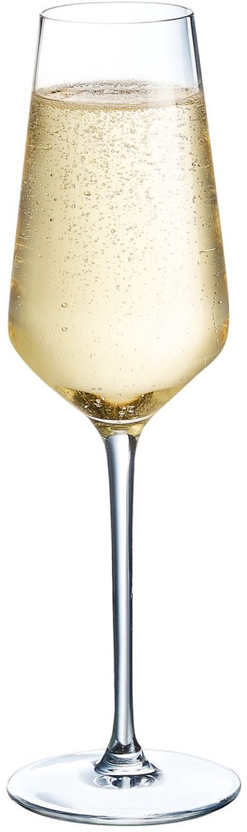 Chef sommelier distinction champagneglazen - 230ml - 6 stuks