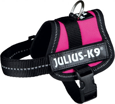 Julius k9 Power-harnas tuig voor labels fuchsia