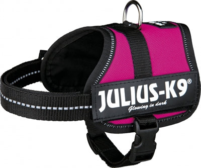 Julius k9 Power-harnas tuig voor labels fuchsia