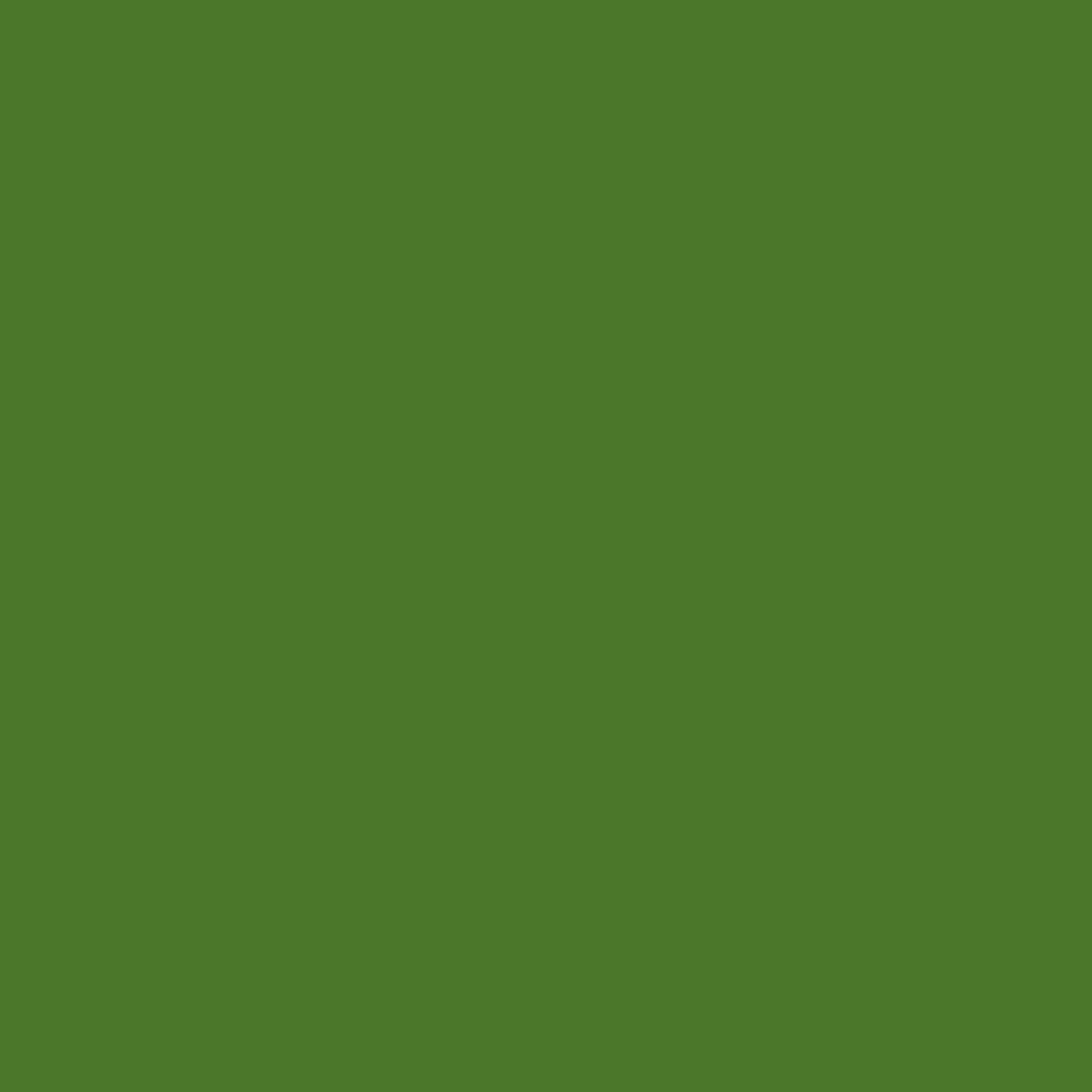 Bazzill • mono cardstock 30,5x30,5cm green maze